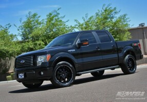 2010 Ford F-150
