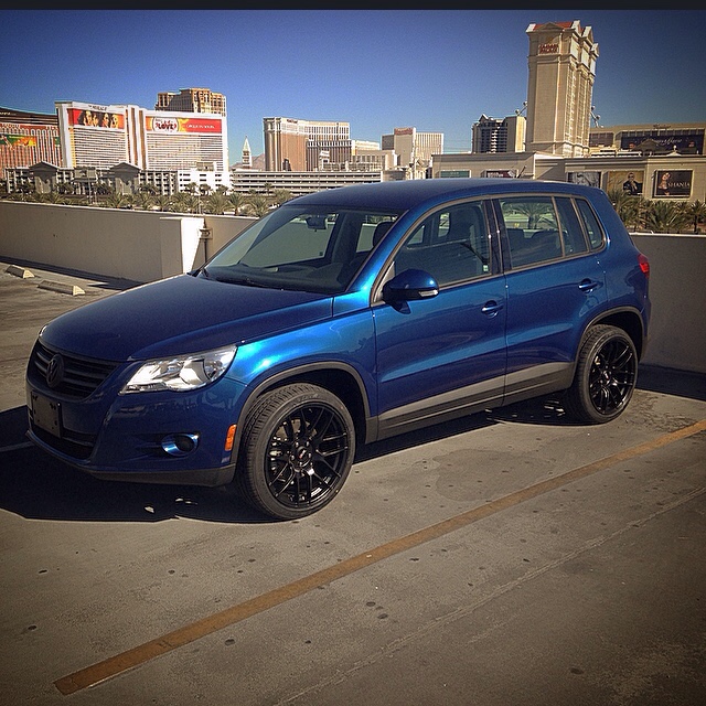 2010 Volkswagen Tiguan photo