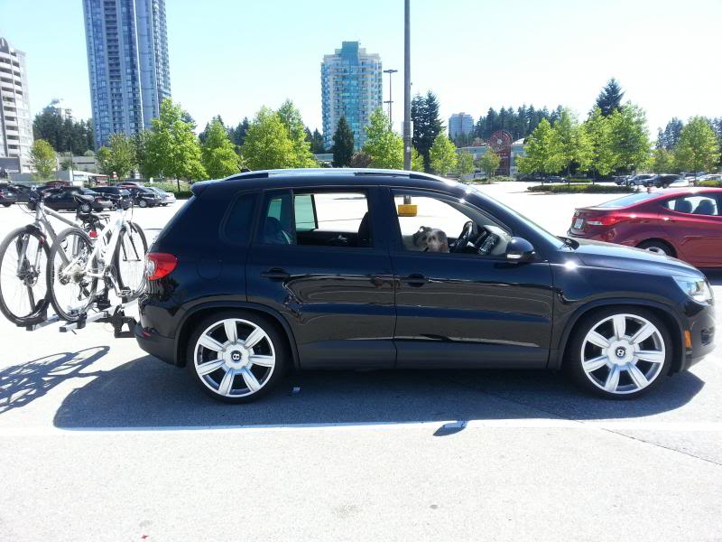 2009 Volkswagen Tiguan photo
