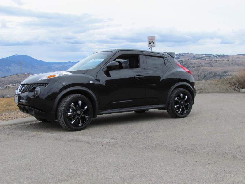 2011 Nissan Juke photo