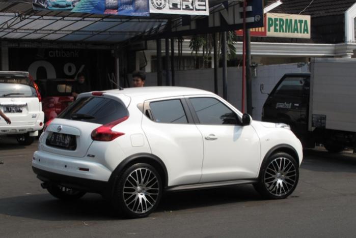 2011 Nissan Juke photo