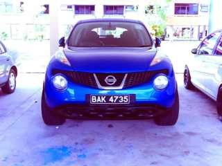 2013 Nissan Juke photo