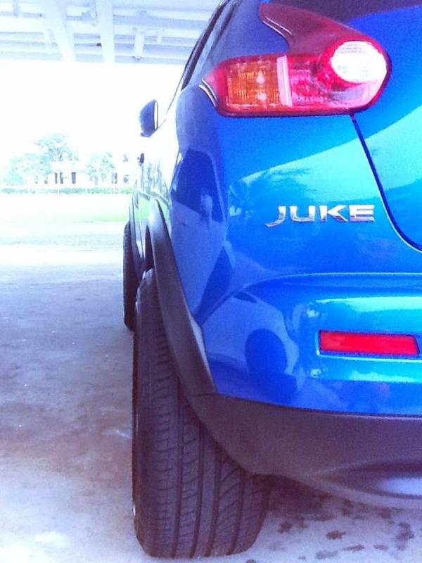 2013 Nissan Juke photo