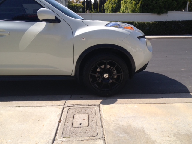 2011 Nissan Juke photo
