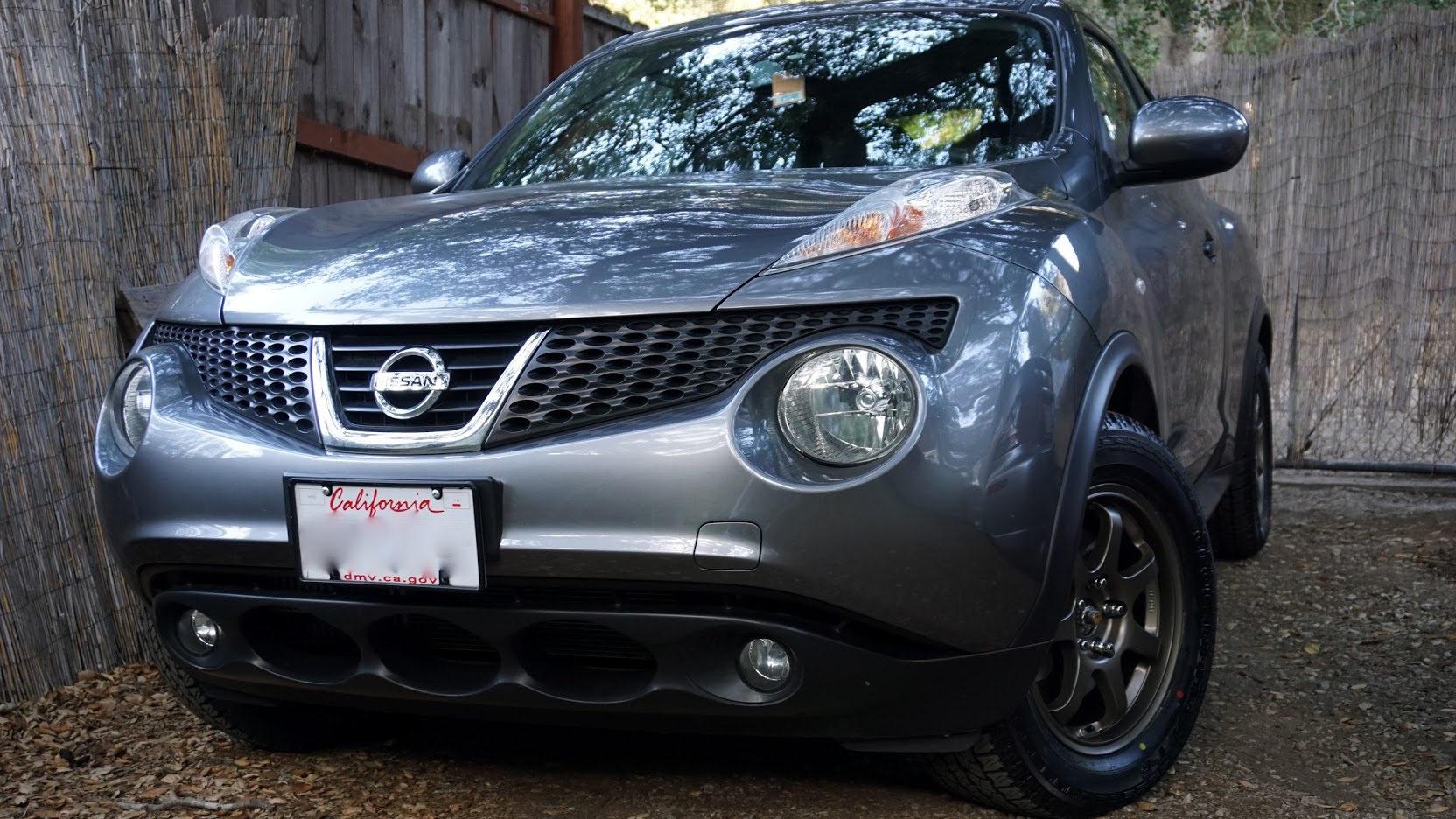 2014 Nissan Juke photo
