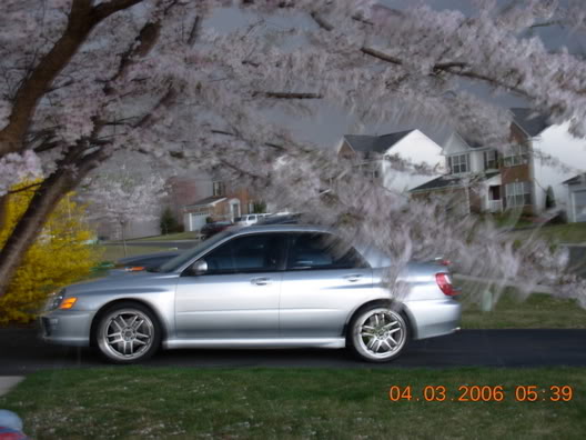 2004 Subaru Impreza WRX photo