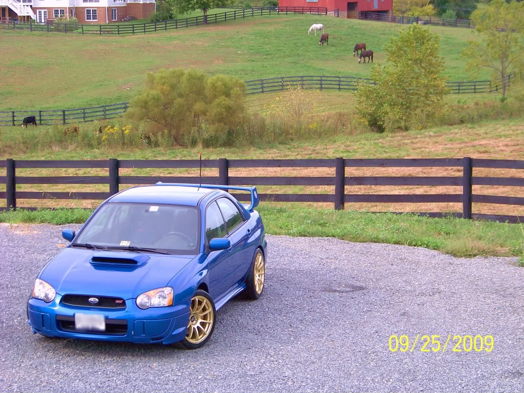 2004 Subaru Impreza photo