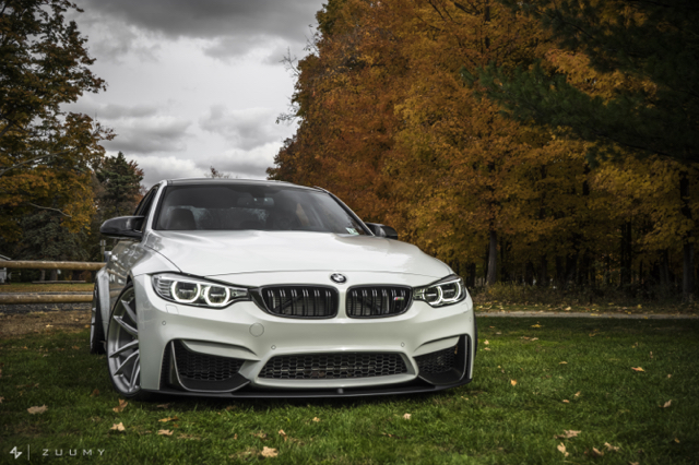 2015 BMW M3 photo