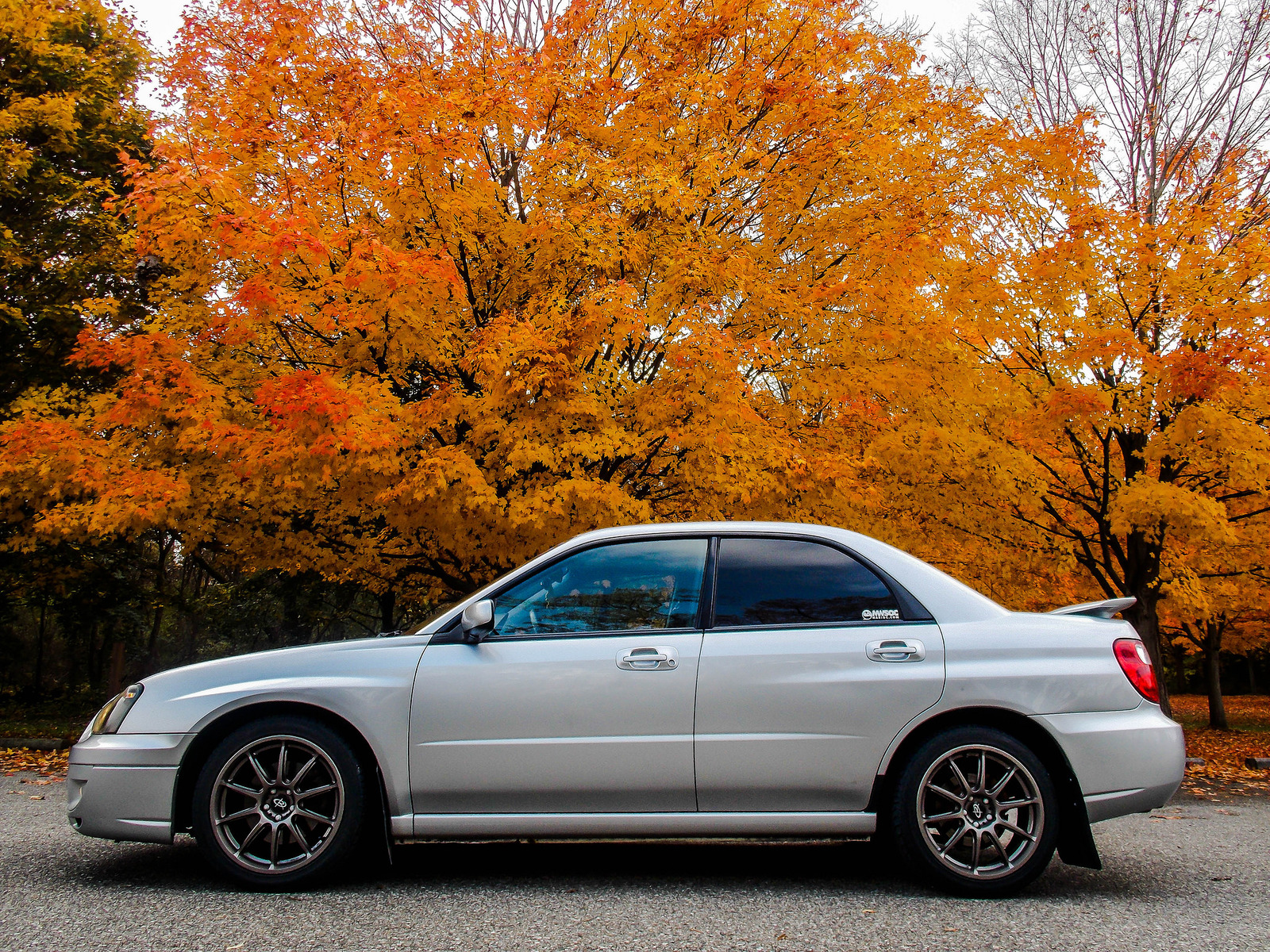 2004 Subaru Impreza photo