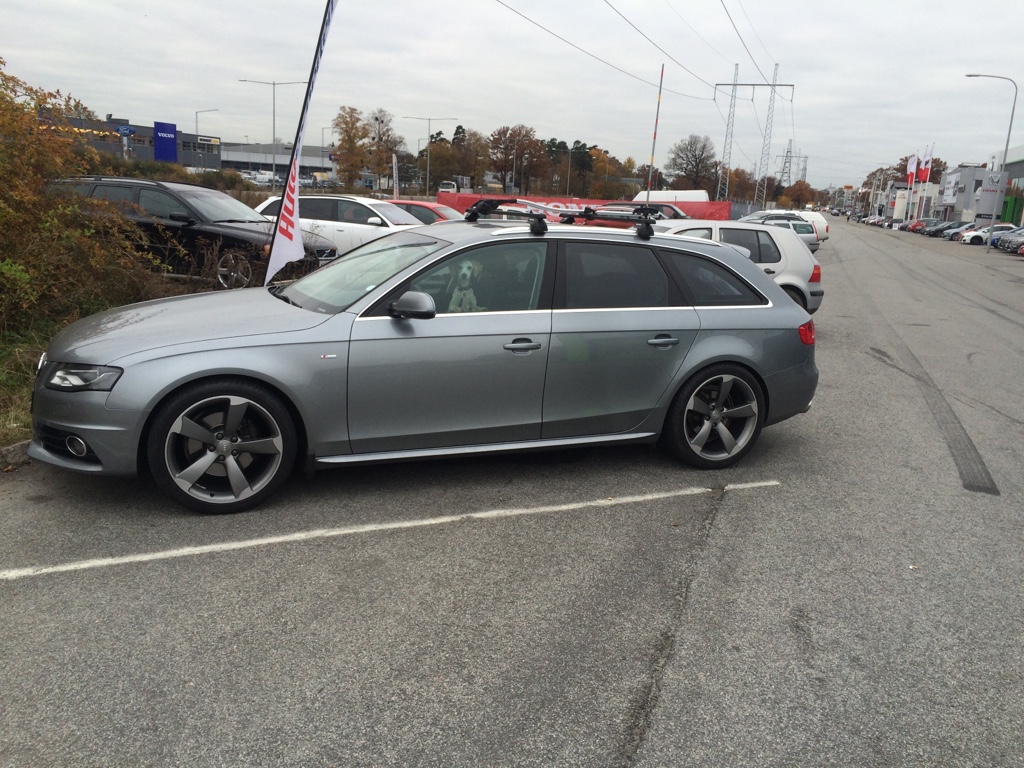 2010 Audi A4 photo