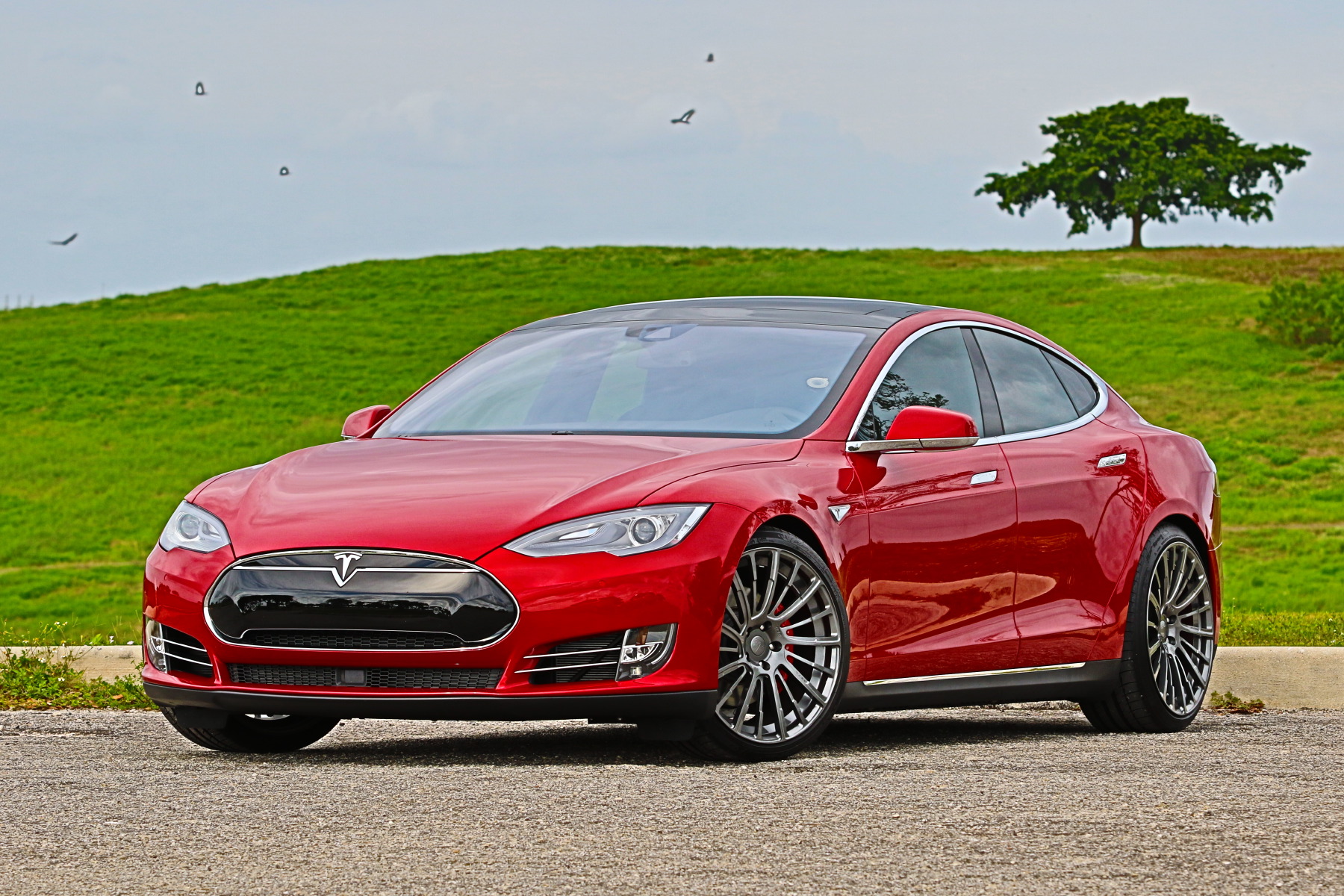 2015 Tesla Model S photo