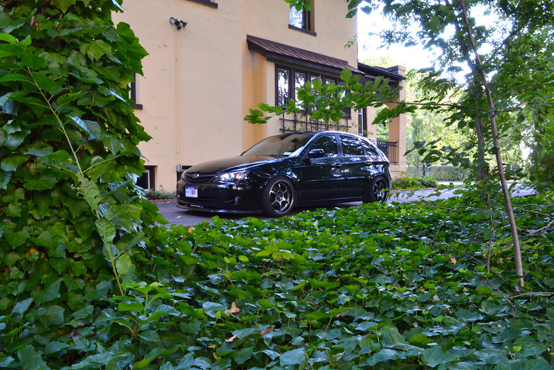 2011 Subaru Impreza WRX photo