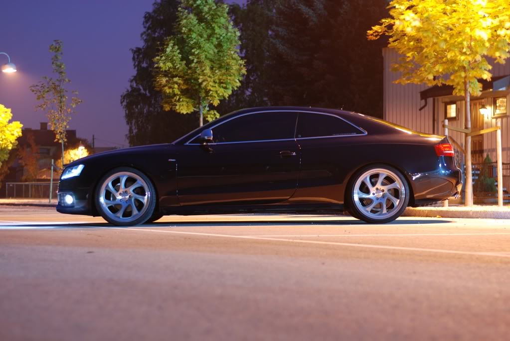 2010 Audi A5 photo