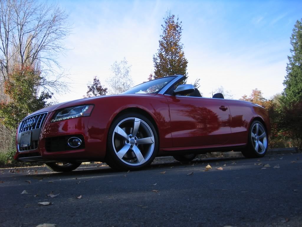2008 Audi A5 photo