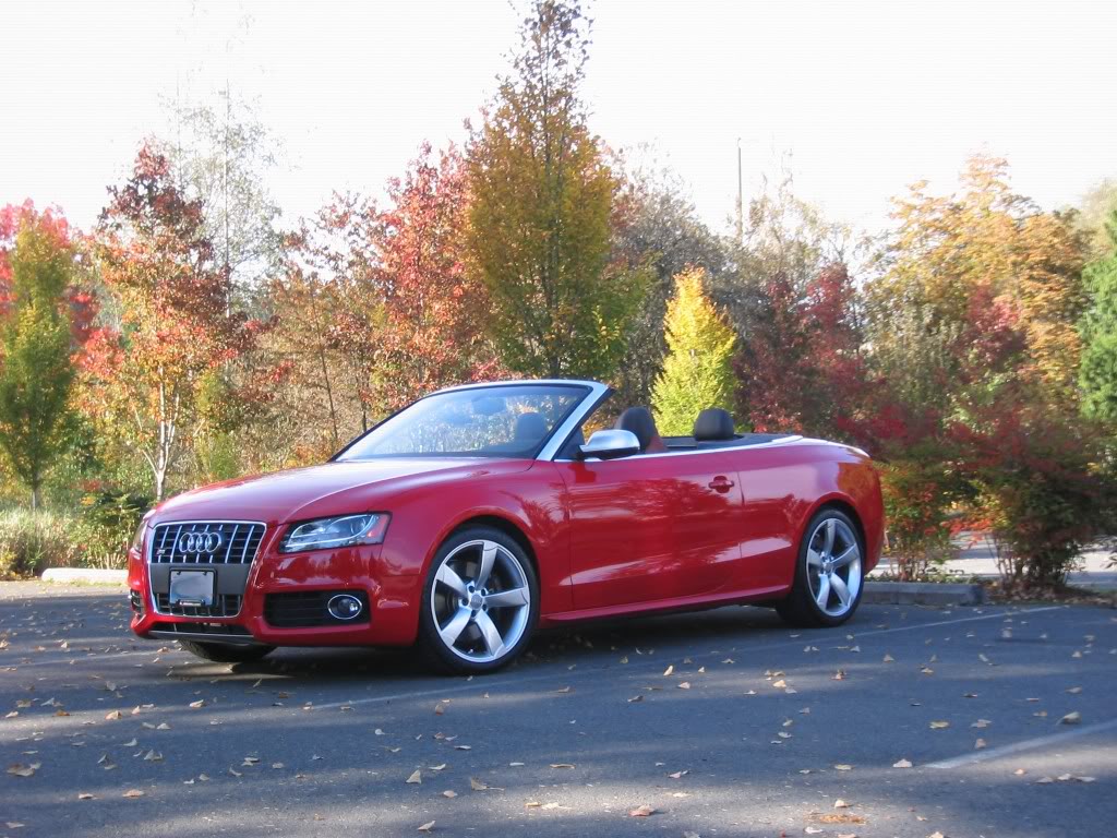 2008 Audi A5 photo