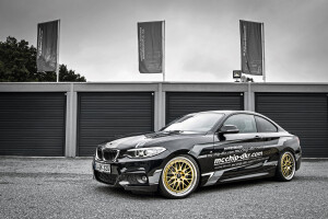 2016 BMW 228
