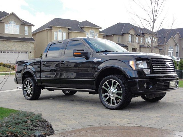 2010 Ford F-150 photo