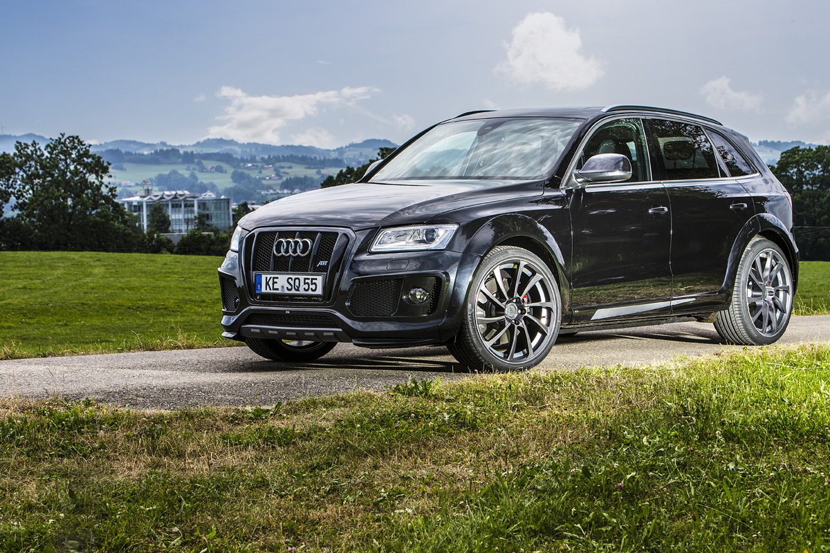 2016 Audi SQ5 photo