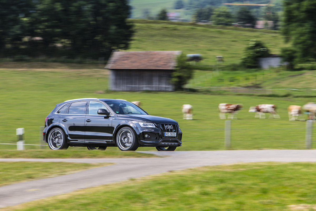 2016 Audi SQ5 photo
