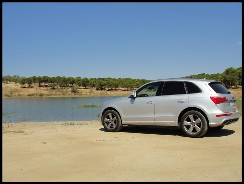 2014 Audi Q5 photo