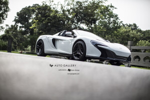 2015 McLaren 650S