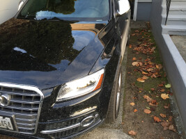 2015 Audi SQ5