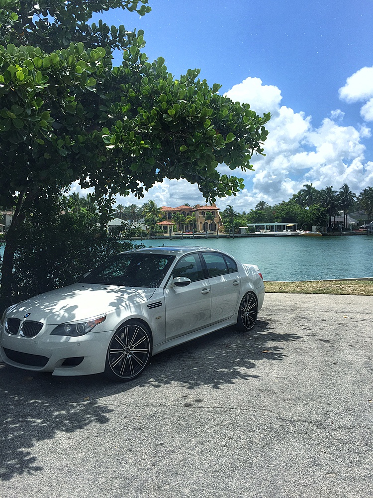 2010 BMW M5 photo