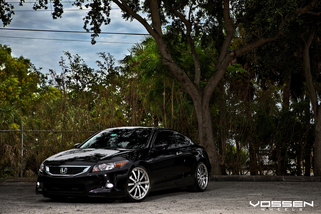 2010 Honda Accord photo