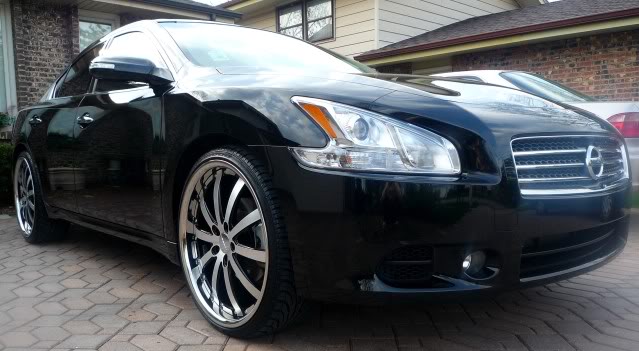 2009 Nissan Maxima photo