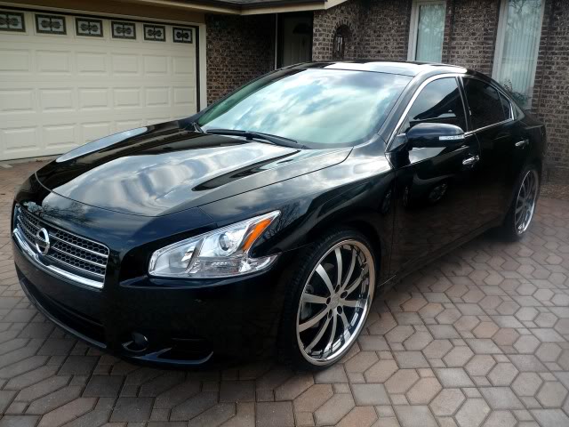 2009 Nissan Maxima photo