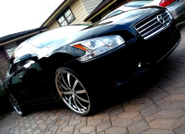 2009 Nissan Maxima photo
