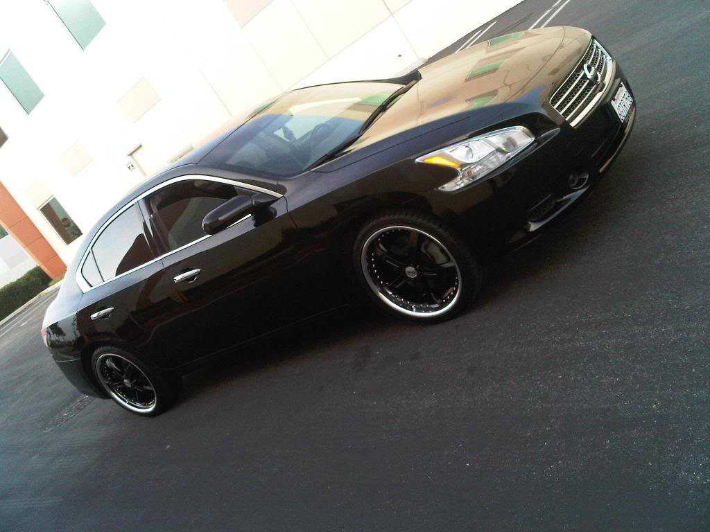 2010 Nissan Maxima photo