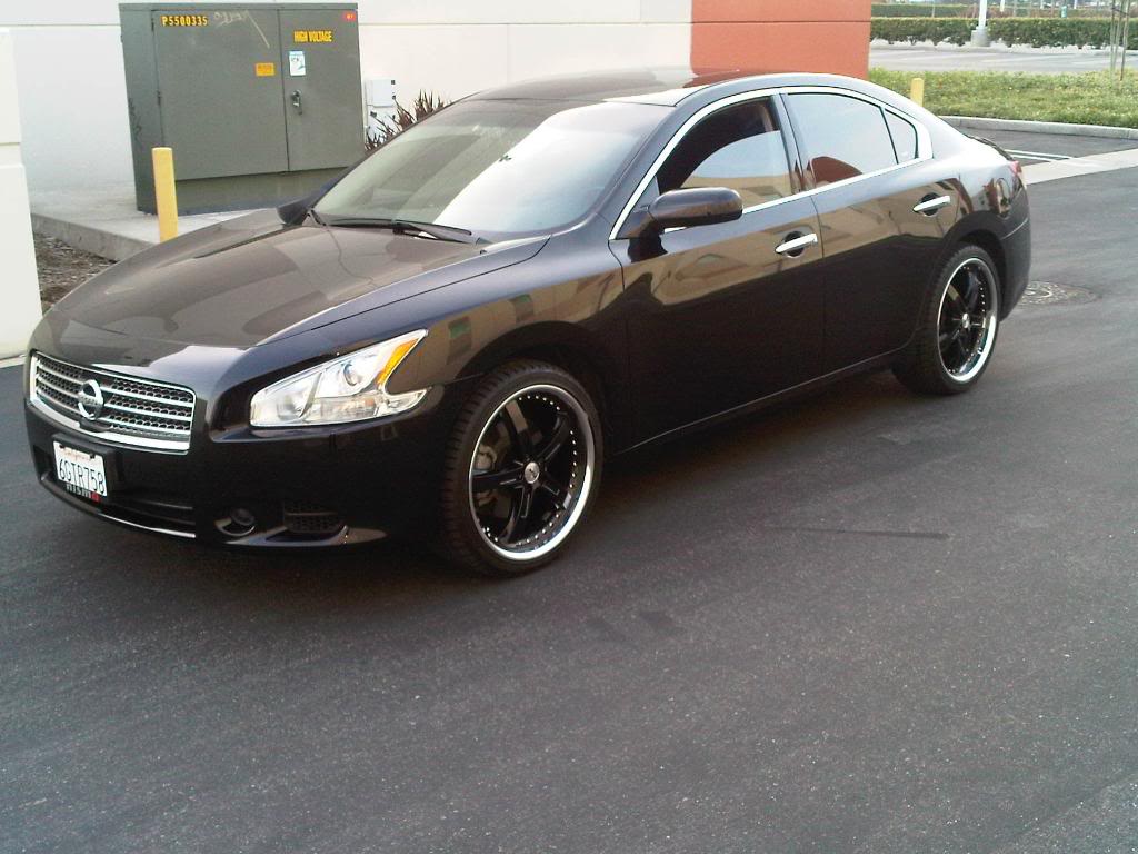 2010 Nissan Maxima photo