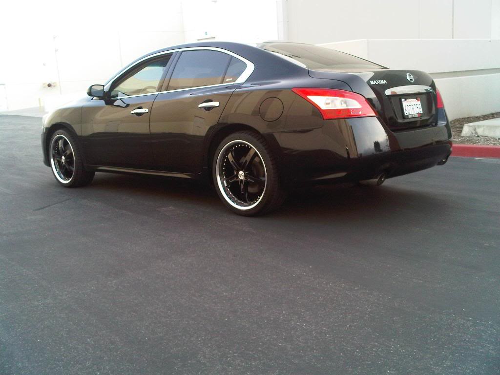 2010 Nissan Maxima photo