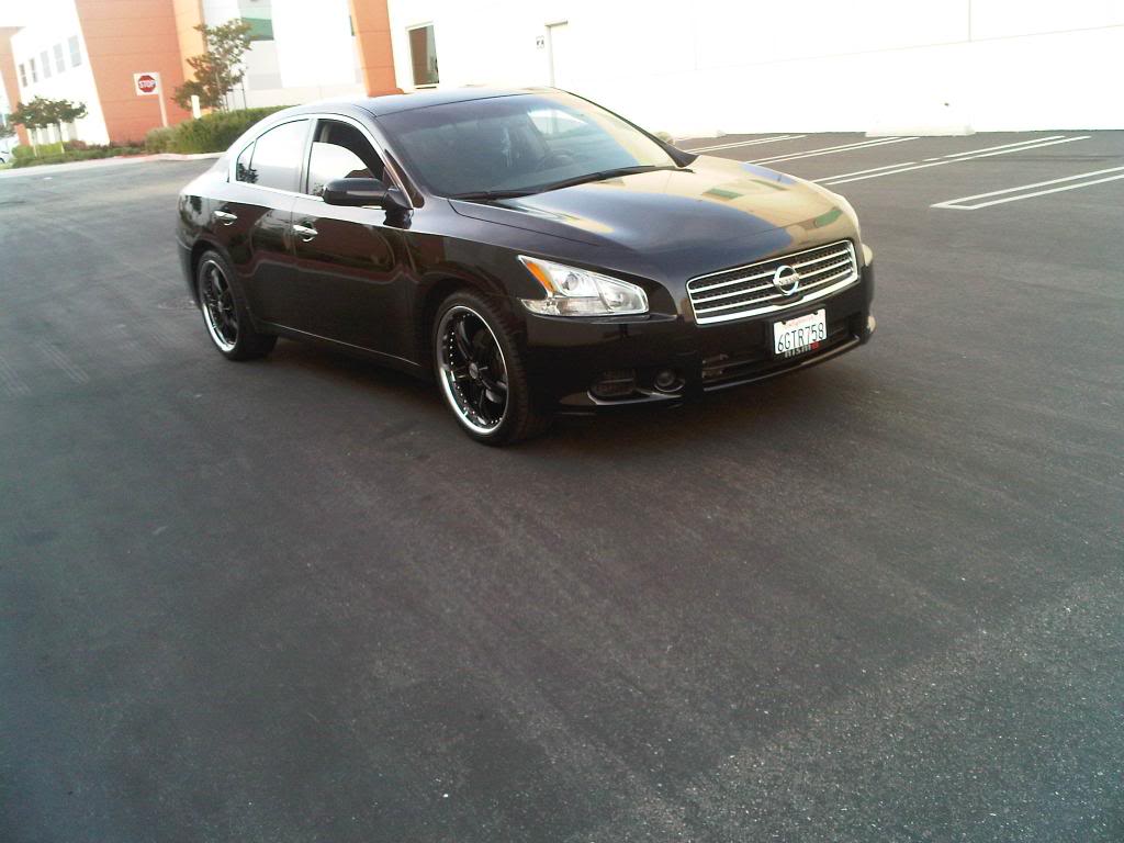 2010 Nissan Maxima photo