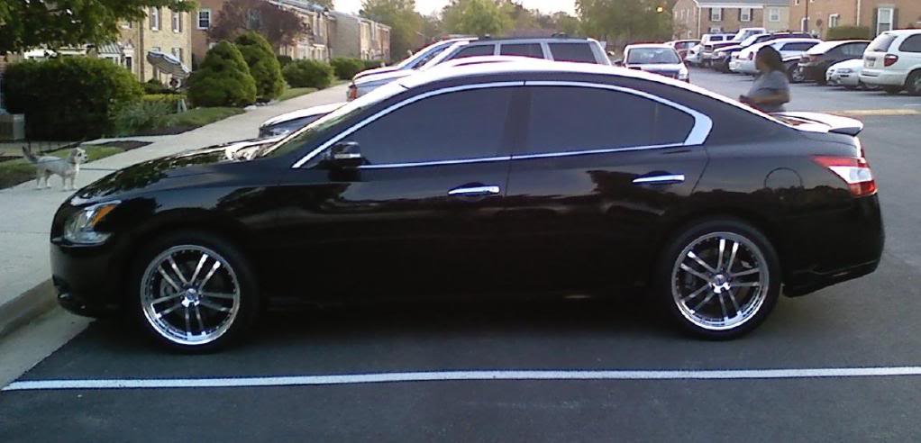 2010 Nissan Maxima photo