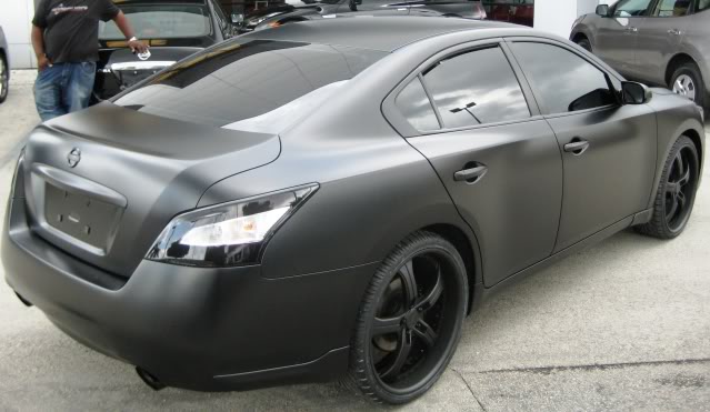 2010 Nissan Maxima photo