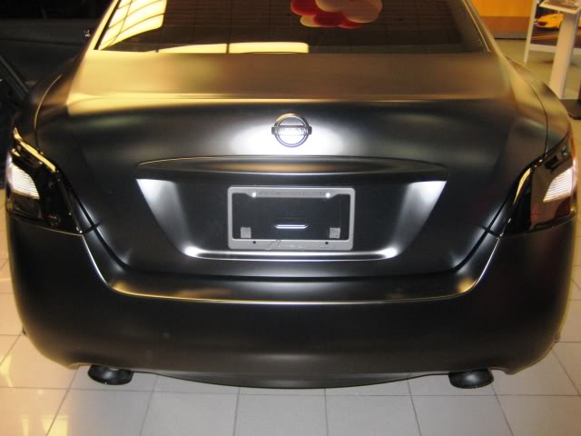 2010 Nissan Maxima photo