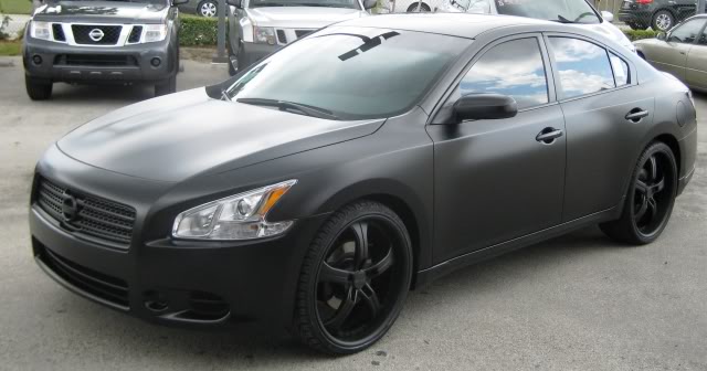 2010 Nissan Maxima photo