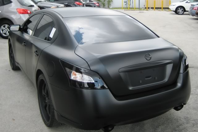 2010 Nissan Maxima photo