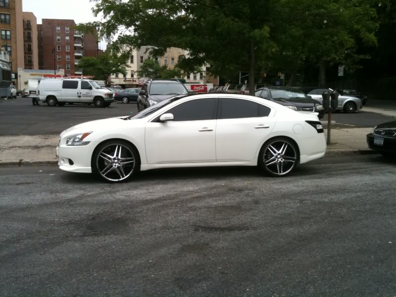 2010 Nissan Maxima photo