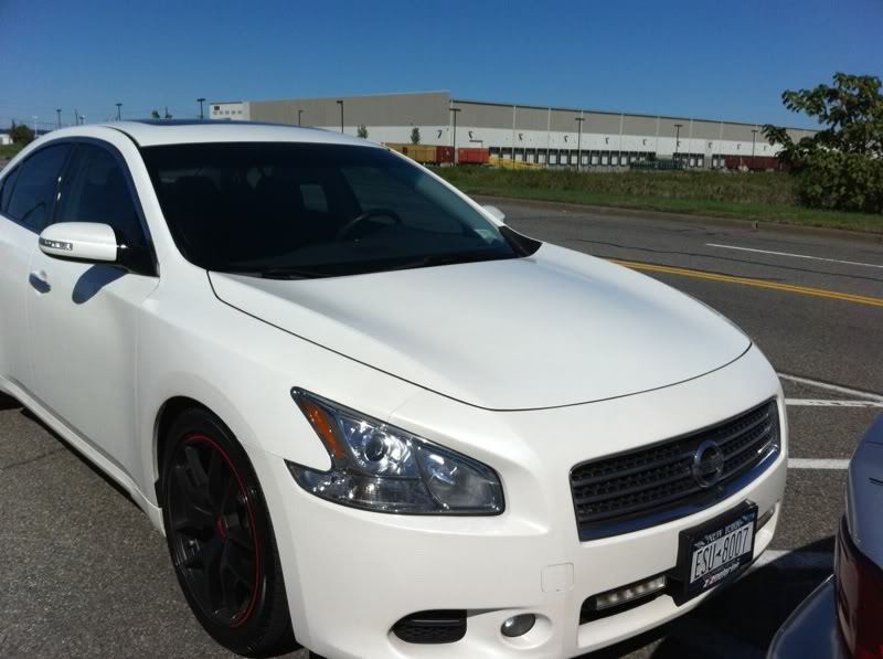 2010 Nissan Maxima photo