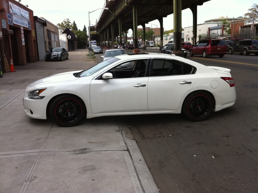 2010 Nissan Maxima photo