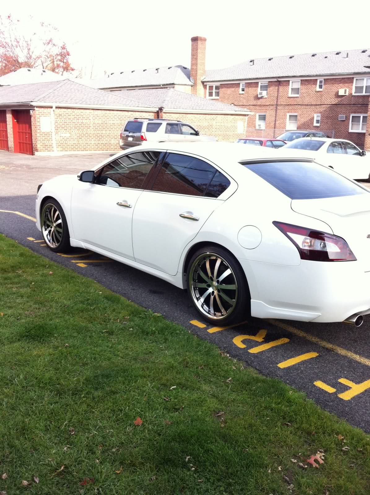 2010 Nissan Maxima photo