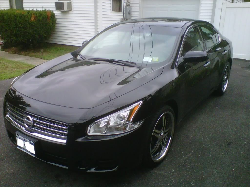 2010 Nissan Maxima photo