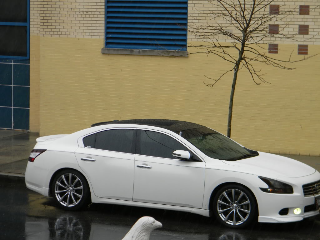 2010 Nissan Maxima photo