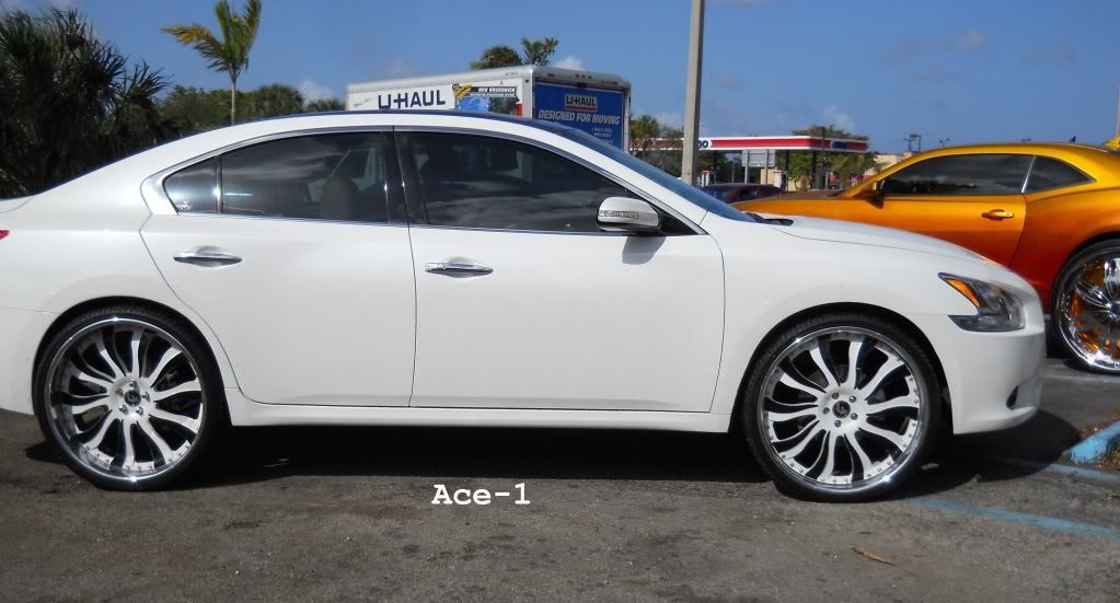 2010 Nissan Maxima photo