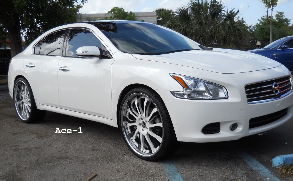 2010 Nissan Maxima photo