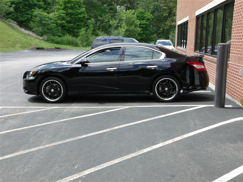 2009 Nissan Maxima photo