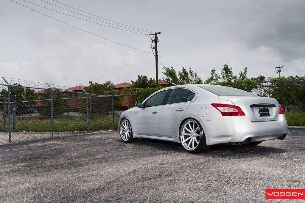 2010 Nissan Maxima photo
